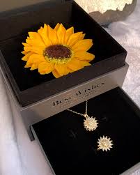 Combo Girasol Giratorio + CAJA GIRASOL